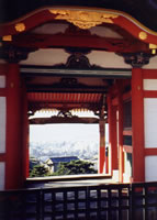 Travel Album