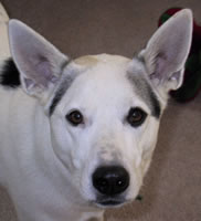 Max's Album